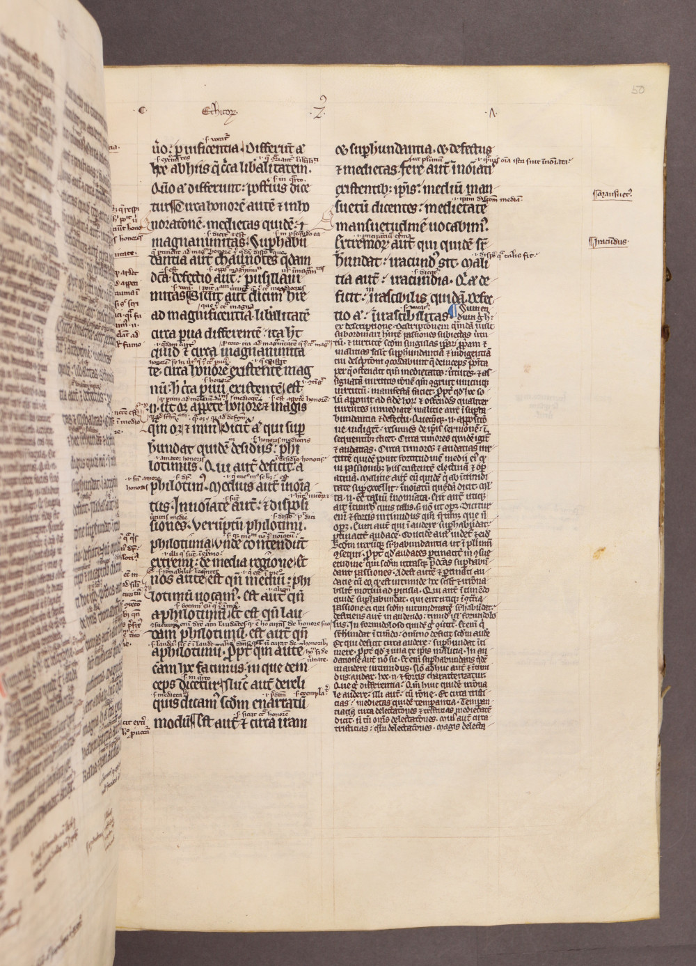 Folio 50 recto